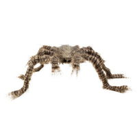 HAIRY SPIDER (50 X 70 CM)