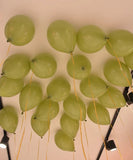 SET DE BALLONS LATEX 30CM GONFLÉ À L'HÉLIUM