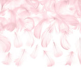 PLUMES DECO ROSE 3G