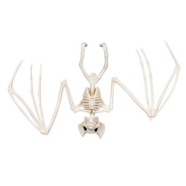 BAT SKELETON 30 X 16 CM