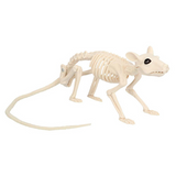 SQUELETTE DE RAT (46 X 7 CM)