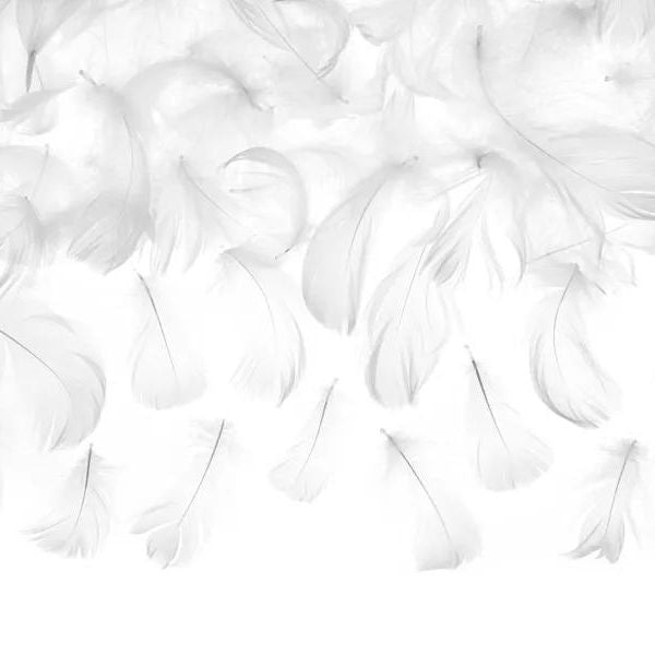 WHITE DECORATIVE FEATHERS