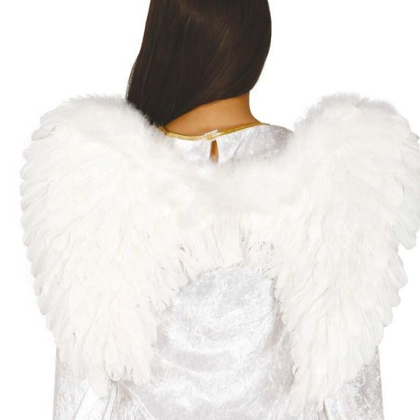 AILES D'ANGE PLUMES 60X40 CM