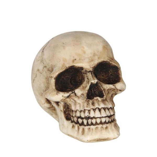 TÊTE DE MORT EN RÉSINE 8 CMS