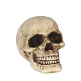 TÊTE DE MORT EN RÉSINE 8 CMS