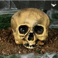 Tête de Mort sans Menton 20 cm