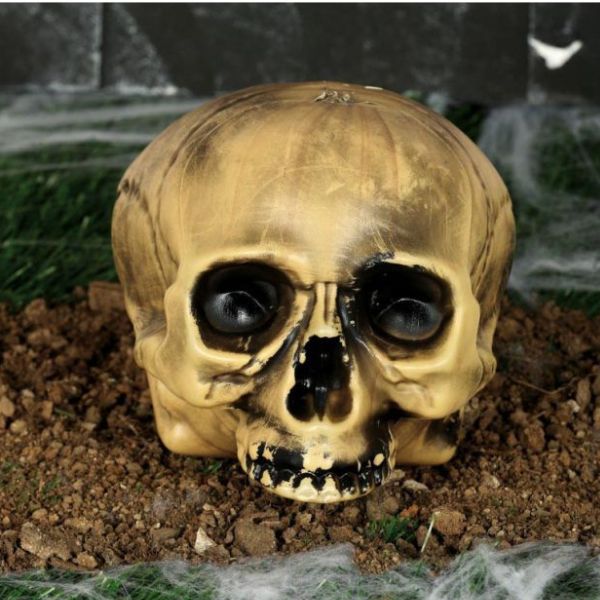 Tête de Mort sans Menton 20 cm
