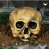 Tête de Mort sans Menton 20 cm