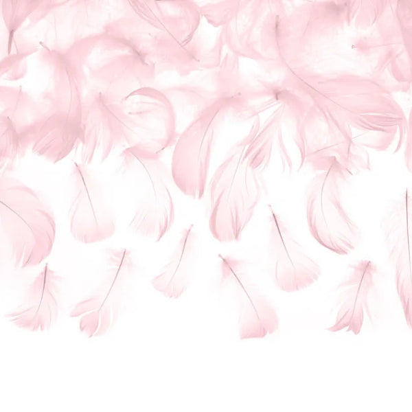 WHITE DECORATIVE FEATHERS