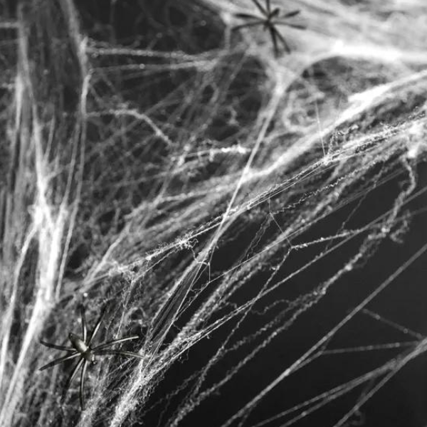 WHITE SPIDER WEB 60G