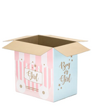 BOX GENDER REVEAL