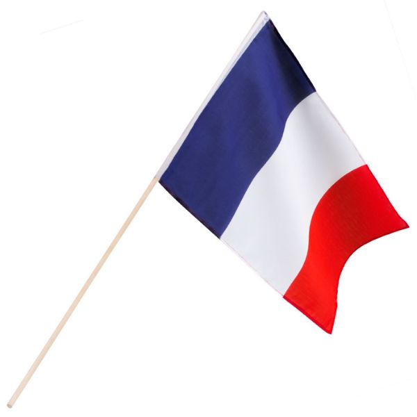 HAND POLYESTER FRANCE FLAG 