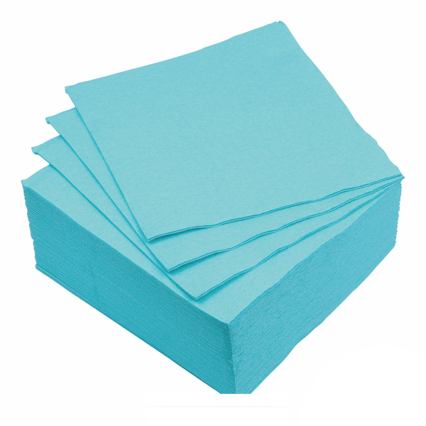 2-PLY BLUE TOWELS X40 