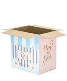 BOX GENDER REVEAL